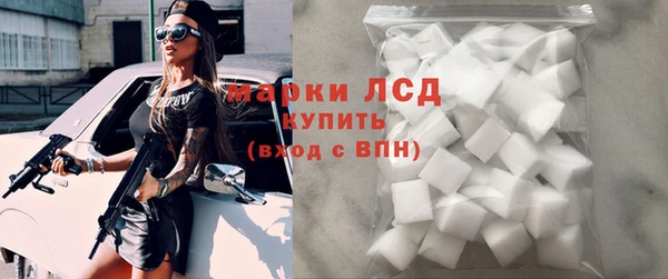 индика Снежинск