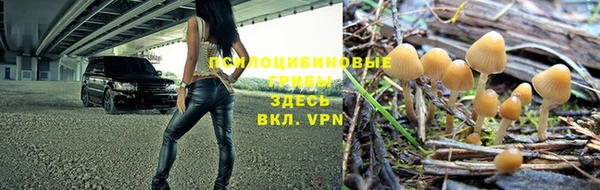 ECSTASY Горнозаводск