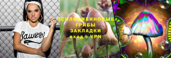 МДПВ Горняк