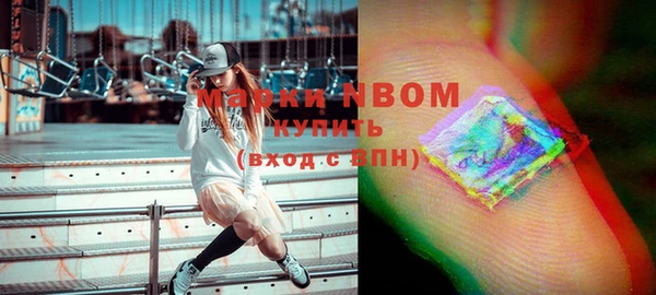 индика Снежинск