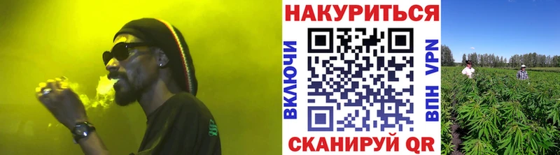 Бошки Шишки планчик  Снежинск 